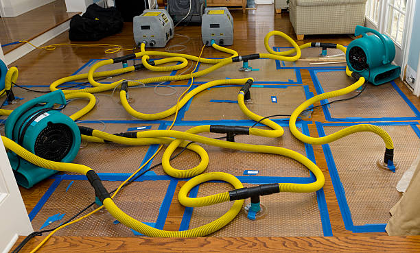 Professional Crawl Space Water Removal technician working in Macomb, MI